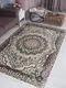Миниатюра изображения товара Ковер Merinos Darga F670-STAN-CREAM-GREEN (2.5х4)
