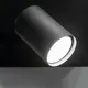 Миниатюра изображения товара Спот Kanlux Evalo 35691