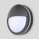Миниатюра изображения товара Светильник уличный Oasis Light Sidney 3363 Gr