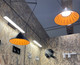 Миниатюра изображения товара Потолочный светильник Italline IT03-1429 (black/orange)