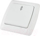 Миниатюра изображения товара Выключатель TDM Онега SQ1805-0003 (белый)