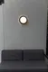 Миниатюра изображения товара Светильник уличный Oasis Light Sidney LED W2058 Bl