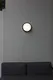 Миниатюра изображения товара Светильник уличный Oasis Light Sidney LED W2058 Bl