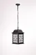 Миниатюра изображения товара Светильник уличный Oasis Light 64805L R