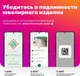 Миниатюра изображения товара Браслет из серебра ZORKA 0650088 (17см)