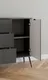 Миниатюра изображения товара Тумба Arvento Rondo 2D3S (графит/дарк грей)