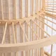 Миниатюра изображения товара Потолочный светильник FAVOURITE Riso 4831-1P