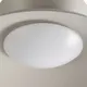 Миниатюра изображения товара Потолочный светильник FAVOURITE Salver 4842-1P