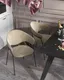 Миниатюра изображения товара Стул Stool Group Алексис / AV 445-Cl-9005 (велюр капучино/опора черный муар)