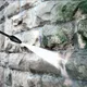Миниатюра изображения товара Мойка высокого давления Karcher K5 Classic (1.950-700.0)