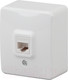 Миниатюра изображения товара Розетка ЭРА Эксперт 11-3202-01 / Б0020727 (белый)