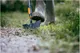 Миниатюра изображения товара Мотыга Fiskars 1080689
