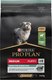 Миниатюра изображения товара Сухой корм для собак Pro Plan Puppy Medium Sensitive Digestion с ягненком и рисом (3кг)