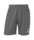 Миниатюра изображения товара Шорты спортивные Jogel Premier PerFormDRY Training Shorts (темно-серый 93, L)