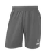 Миниатюра изображения товара Шорты спортивные Jogel Premier PerFormDRY Training Shorts (темно-серый 93, XXXL)