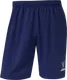 Миниатюра изображения товара Шорты спортивные Jogel Premier PerFormDRY Training Shorts с карманами (темно-синий Z5, L)