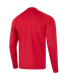 Миниатюра изображения товара Олимпийка спортивная Jogel Premier PerFormDRY Training 1/4 Zip Top (красный R2, M)