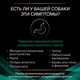 Миниатюра изображения товара Сухой корм для собак Pro Plan Veterinary Diets EN (5кг)