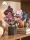 Миниатюра изображения товара Конструктор Makebug Орхидеи Paper Petals / MB-D-0071
