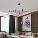 Миниатюра изображения товара Люстра Imperiumloft Temper01 / 229051-26
