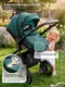 Миниатюра изображения товара Детская универсальная коляска Sweet Baby Ranger 3в1 (Neo Green Glossy)