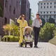 Миниатюра изображения товара Детская прогулочная коляска Chicco Bellagio 2 Stroller 07087183330000 (Fir Tree)