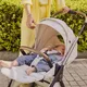 Миниатюра изображения товара Детская прогулочная коляска Chicco Bellagio 2 Stroller 07087183330000 (Fir Tree)