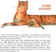 Миниатюра изображения товара Художественная книга Рипол Классик Когда солнце станет белым (Наташа 9785386108625)
