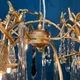 Миниатюра изображения товара Люстра Imperiumloft SPRUCE01 / 189579-26