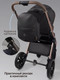 Миниатюра изображения товара Детская универсальная коляска Amarobaby 2в1 Motus Premium Ecco Exclusive / AB26-10MOTUSF/09 (черный)