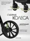 Миниатюра изображения товара Детская универсальная коляска Costa 3в1 Rider / RD-1 (оливковый)