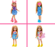 Миниатюра изображения товара Кукла с аксессуарами Barbie HXN03