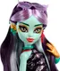Миниатюра изображения товара Кукла с аксессуарами Monster High HYV58