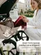 Миниатюра изображения товара Детская универсальная коляска Sweet Baby 2в1 SBL Elegante Therma Colore (шампань бежевый)