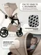 Миниатюра изображения товара Детская универсальная коляска Sweet Baby 2в1 SBL Elegante Therma Colore (шампань бежевый)