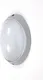 Миниатюра изображения товара Бра уличное Oasis Light 10808 S