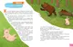 Миниатюра изображения товара Энциклопедия CLEVER Подарок для почемучки. Домашние животные (Ульева Елена)