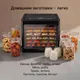 Миниатюра изображения товара Сушилка для овощей и фруктов Redmond FD1108 (черный)
