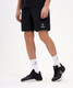 Миниатюра изображения товара Шорты Jogel Camp 2 Woven Shorts (черный, XL)