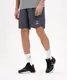 Миниатюра изображения товара Шорты Jogel Camp 2 Woven Shorts (темно-серый, XXL)