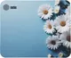 Миниатюра изображения товара Коврик для мыши Cactus Daisies / cs-mpc-d07s