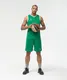 Миниатюра изображения товара Шорты баскетбольные Jogel Camp Basic JC2SH0121.73 (зеленый, XL)