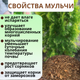 Миниатюра изображения товара Мульча для растений Белглеба Сосновая мелкая (ф.0-1см, 50л)