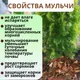 Миниатюра изображения товара Мульча для растений Белглеба Сосновая крупная (ф.1-3см, 30л)