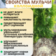 Миниатюра изображения товара Мульча для растений Белглеба Сосновая с коллоидной серой мелкая (ф.0-1см, 50л)