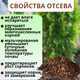 Миниатюра изображения товара Мульча для растений Белглеба Отсев сосновой коры 0-2см (50л)