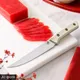 Миниатюра изображения товара Нож Microtech Boning Knife 3100-10IV