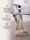 Миниатюра изображения товара Игрушка для кошек Roxy-Pets Пушистик из натуральной норки RP-CT-06