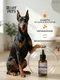 Миниатюра изображения товара Средство для ухода за лапами животных Roxy-Pets Защитный спрей-воск для лап собак / RP-PPW-01 (50мл)