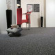 Миниатюра изображения товара Ковровое покрытие Ideal Floor Gent 902 (0.8x9м, серый)
